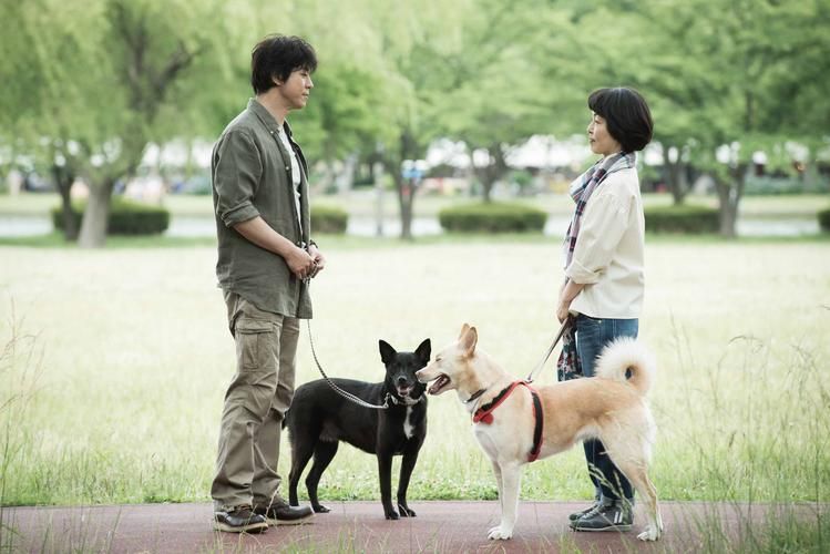 安卓怎么下载人狗情未了 高清人狗温情电影资源
