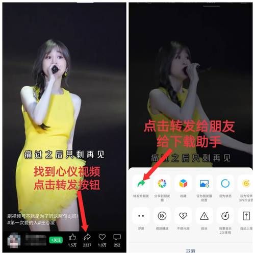 安卓手机如何下载表演课视频详细步骤分享