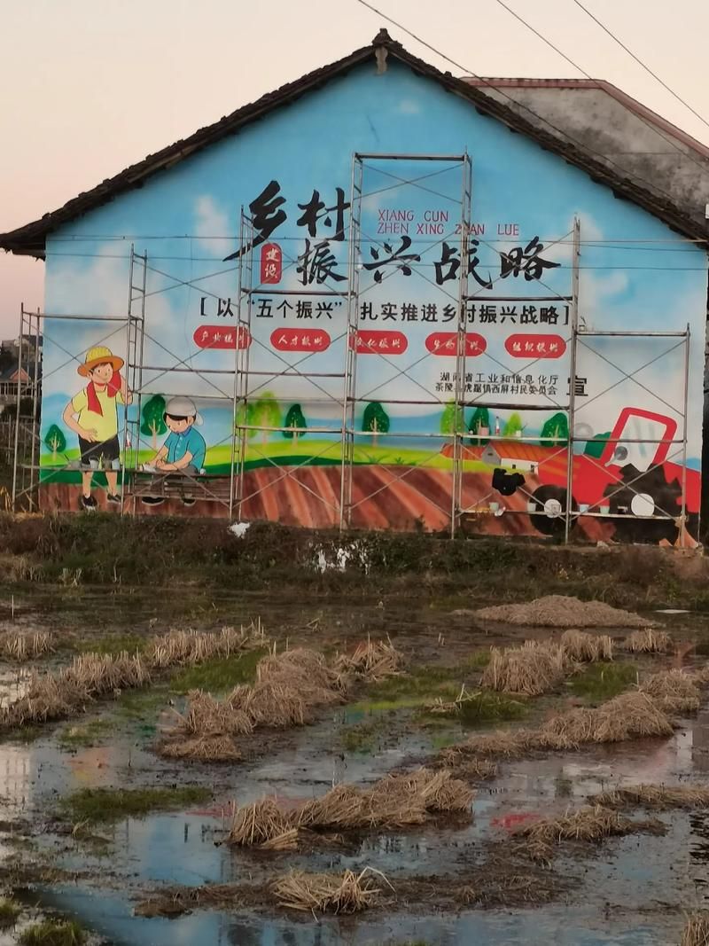 安卓手机如何助力乡村改造看看这些实用技巧