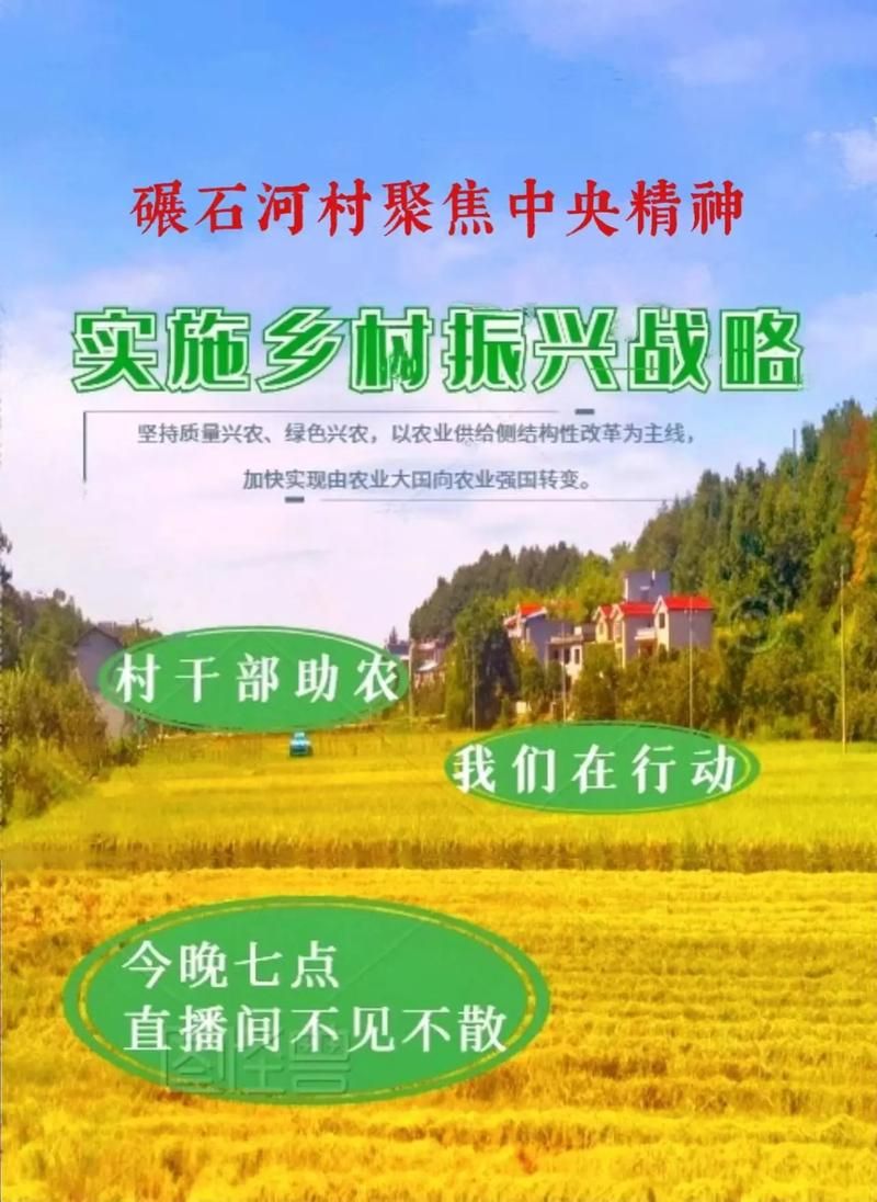 安卓手机如何助力乡村改造看看这些实用技巧