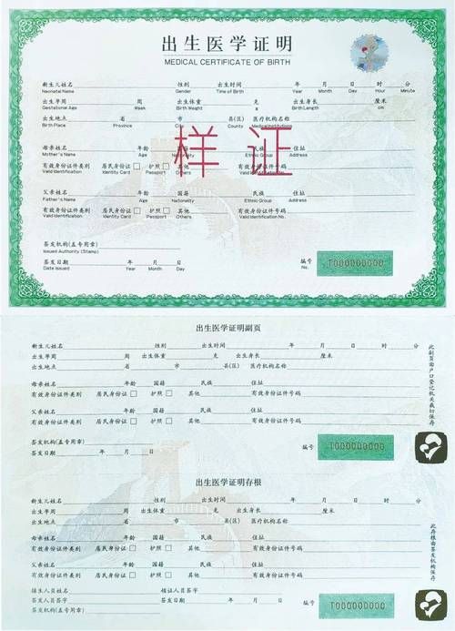 安卓手机如何汉化出生证明详细步骤