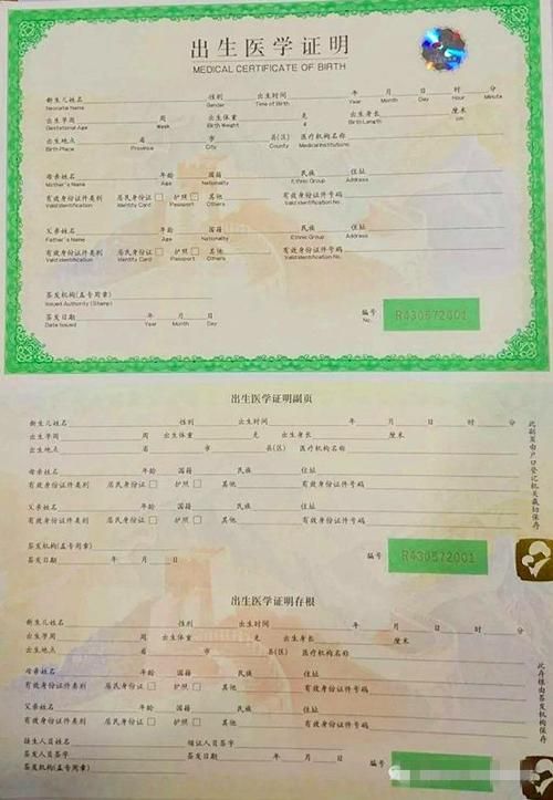 安卓手机如何汉化出生证明详细步骤