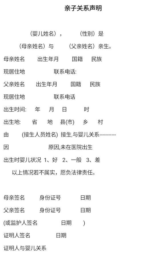 安卓手机如何汉化出生证明详细步骤