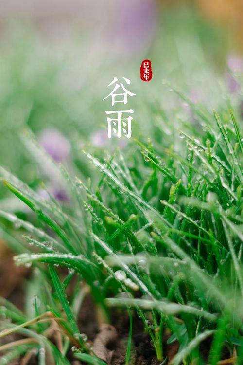 安卓手机必备四季下载软件免费获取