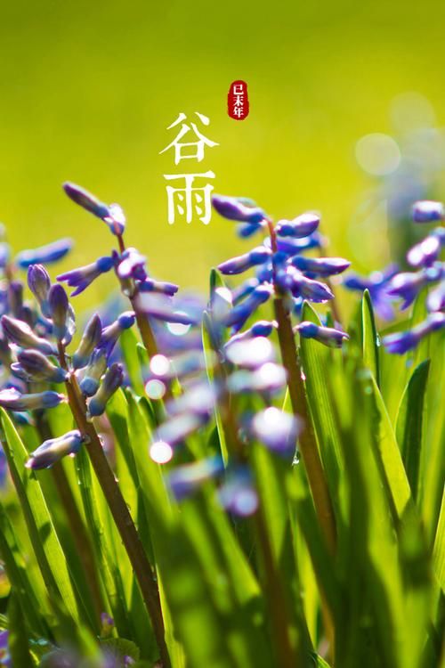 安卓手机必备四季下载软件免费获取