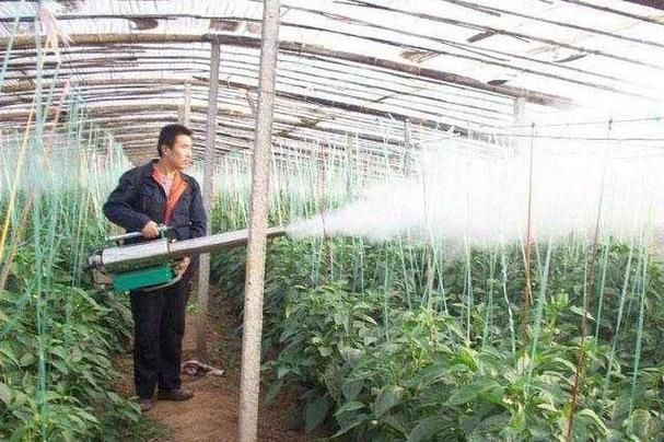 安卓手机怎么下载农民的追求 简单三步搞定安装
