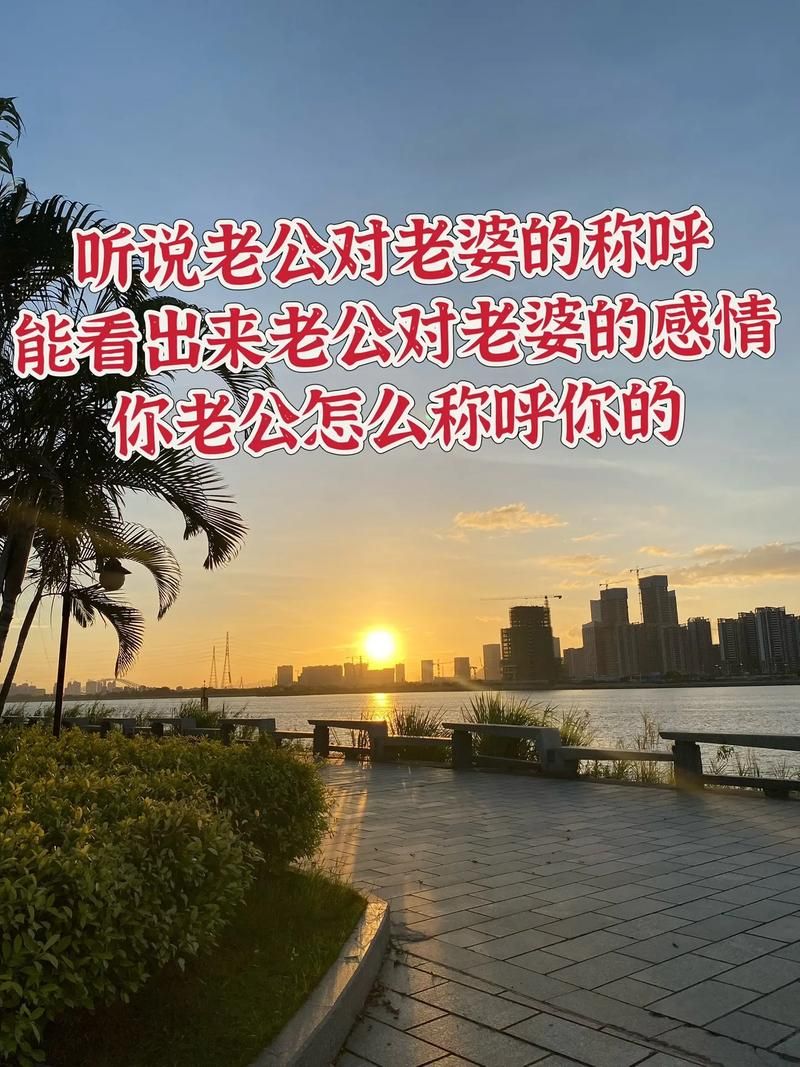 安卓手机怎么下载妻子的生活V1.0 简单三步搞定