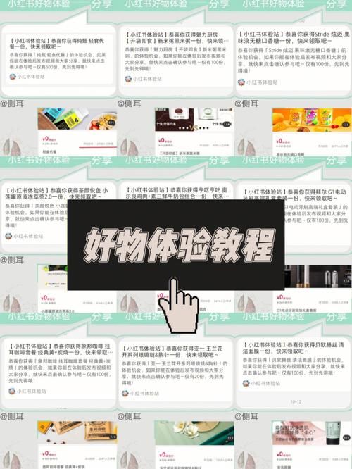 安卓手机怎么下载忠诚的一课 详细教程分享