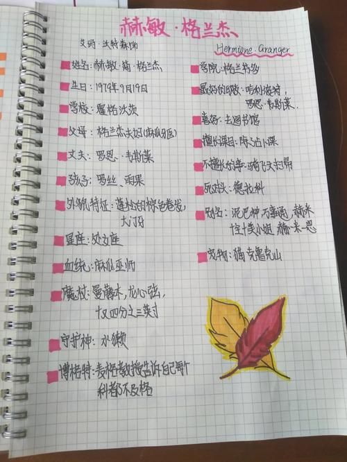 安卓手机怎么下载教育赫敏V1.46魔改版详细步骤