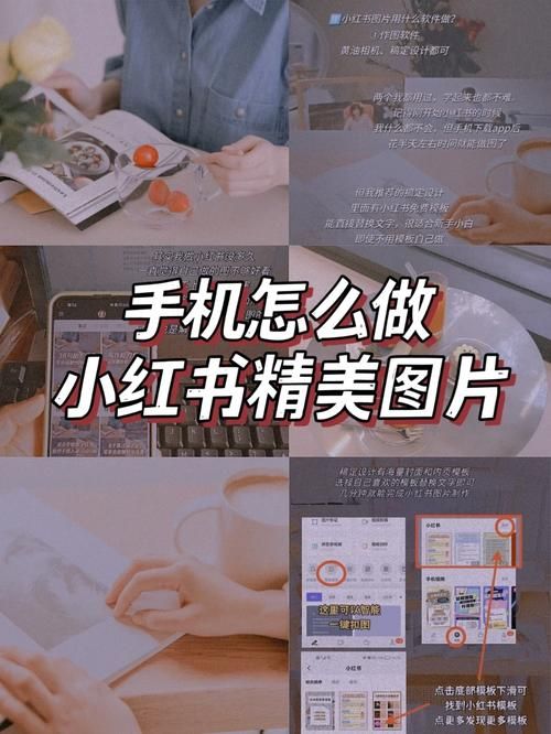 安卓手机怎么下载末世余生 手把手教你安装