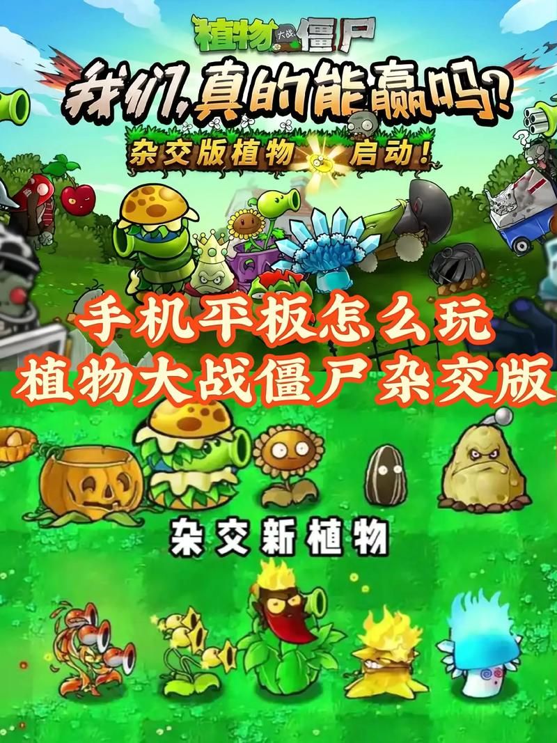 安卓手机怎么玩H版植物大战僵尸汉化版