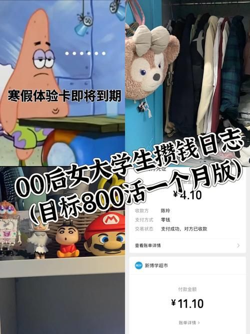 安卓手机畅玩与女大生的同居生活汉化版技巧