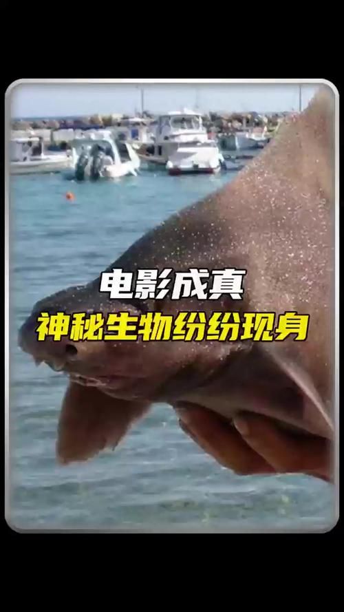 安卓捕获未知生物游戏 探索神秘世界乐趣多