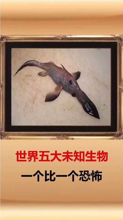 安卓捕获未知生物游戏 探索神秘世界乐趣多