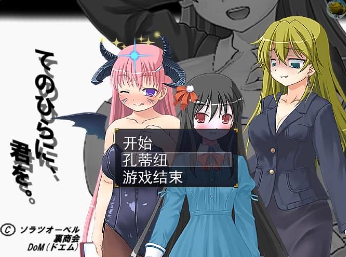 安卓汉化二次元萌娘大乱 手把手教你如何安装