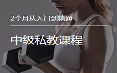 安卓汉化健身教练补课软件 新手必备训练指南