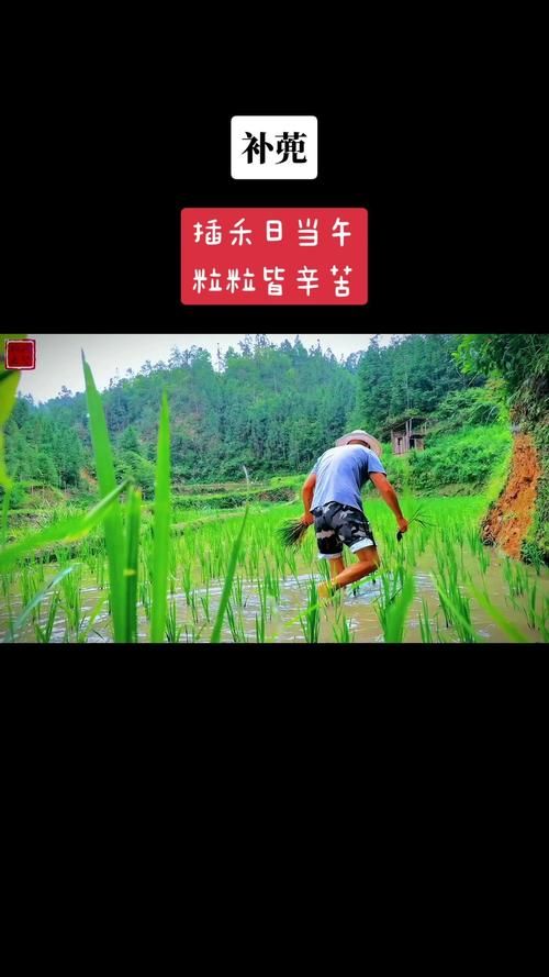 安卓汉化我的乡村生活 轻松享受种田乐趣