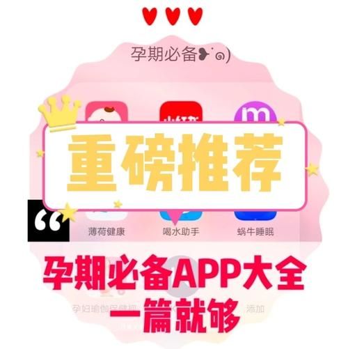 安卓用户必备 鲁迪下载快速安全无广告