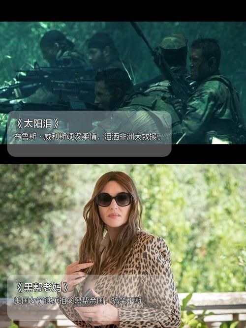 安卓用户必看时尚女王莫妮卡第2季大结局