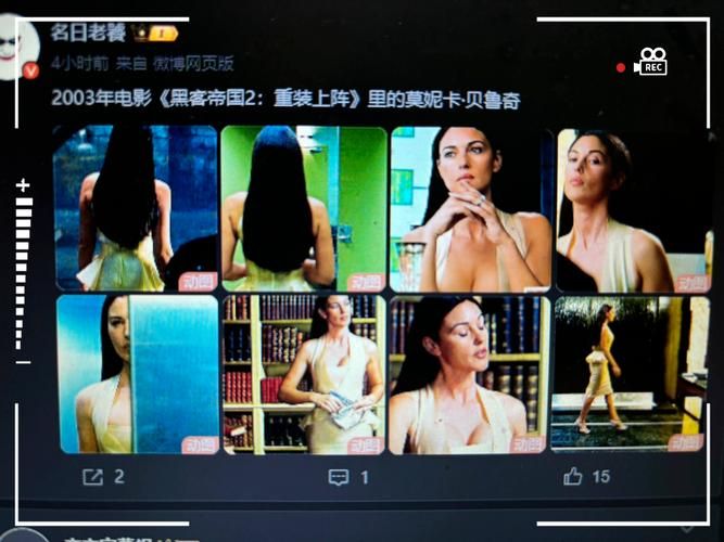 安卓用户必看时尚女王莫妮卡第2季大结局