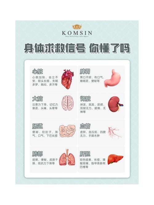 安卓用户注意心脏问题早期信号别忽视 安卓用户注意心脏问题早期信号别忽视