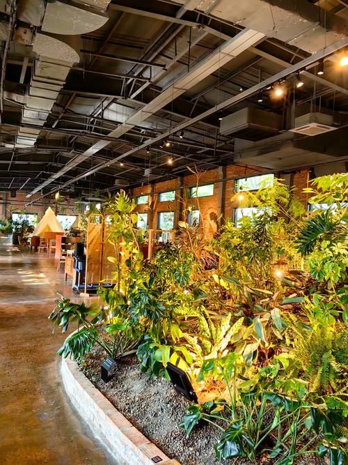 安卓舒适咖啡馆免费下载 让你的生活更惬意