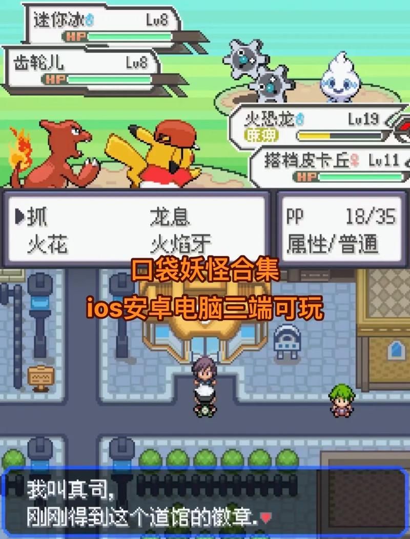 宝可梦荡安卓安装教程 轻松搞定不卡顿