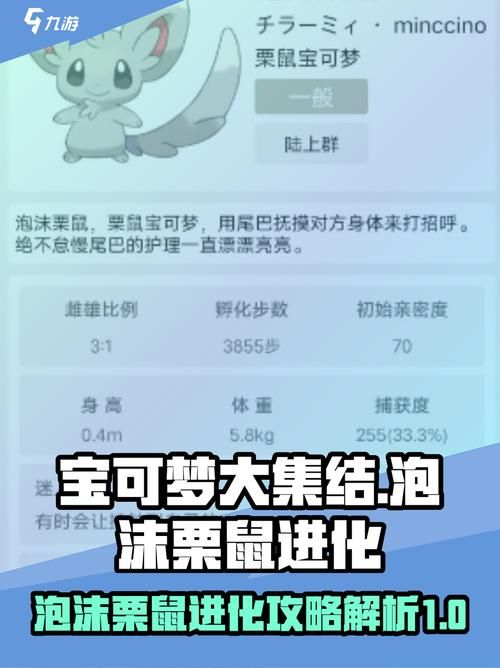 宝可梦荡游戏攻略解析 快速通关秘籍揭秘