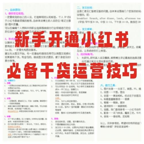 实力单身绅士游戏怎么玩 新手入门技巧大公开