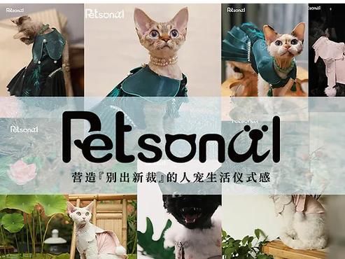 宠物捕捉大师番外下载地址推荐 快速获取不迷路