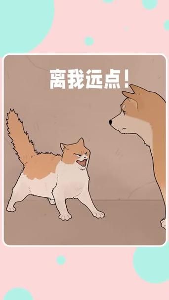 宠物捕捉大师番外安卓下载教程轻松搞定不迷路