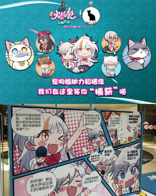 宠物捕捉大师番外安卓汉化版更新内容 新宠物新玩法