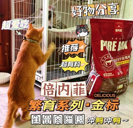 宠物捕捉大师番外官方网站下载安装教程一步到位