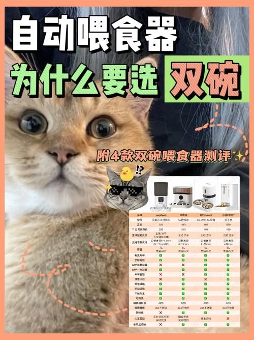 宠物捕捉大师番外官方网站下载安装教程一步到位