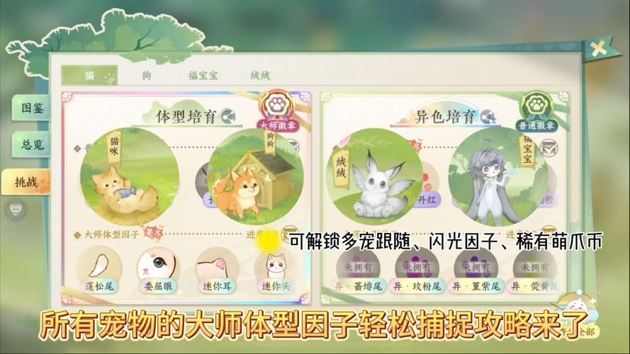 宠物捕捉大师番外最新版本是多少下载攻略分享