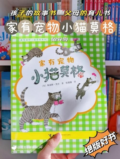 宠物捕捉大师番外最新版本更新内容抢先看