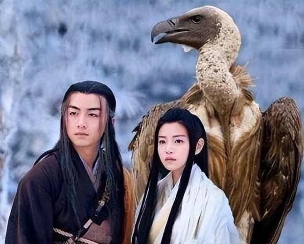 宠物捕捉大师番外杨过游戏最强阵容搭配推荐