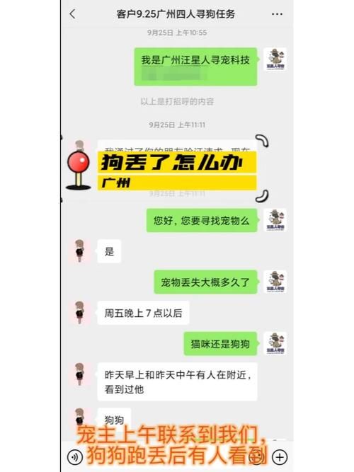 宠物捕捉大师番外版本大全常见问题解答