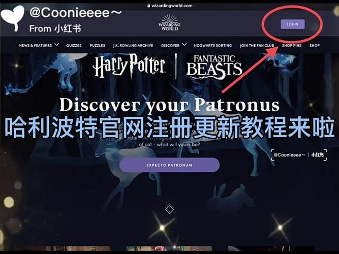 审查测试游戏官网注册流程 详细步骤解析