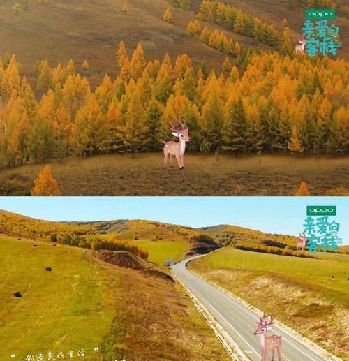 客栈第二季最新版本评测好玩吗看完就知道
