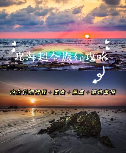客舱巡游官方网站用户真实评价与旅行攻略
