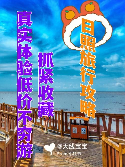 客舱巡游官方网站用户真实评价与旅行攻略