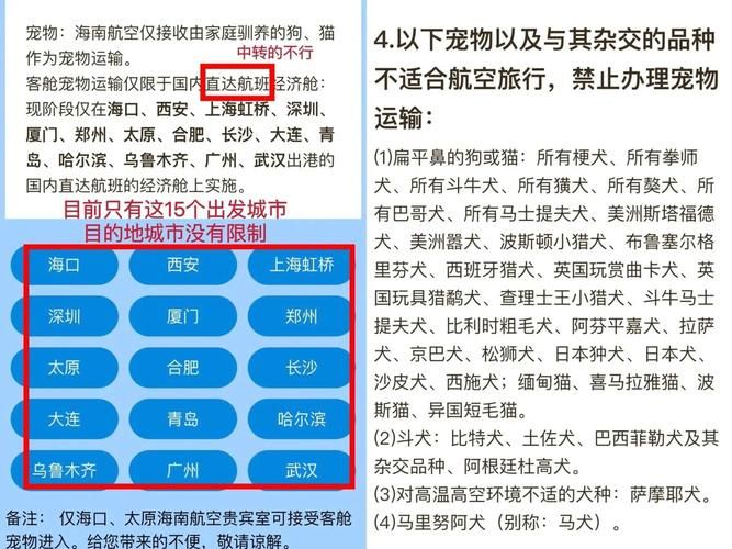 客舱巡游更新地址注意事项 这些细节别忽略