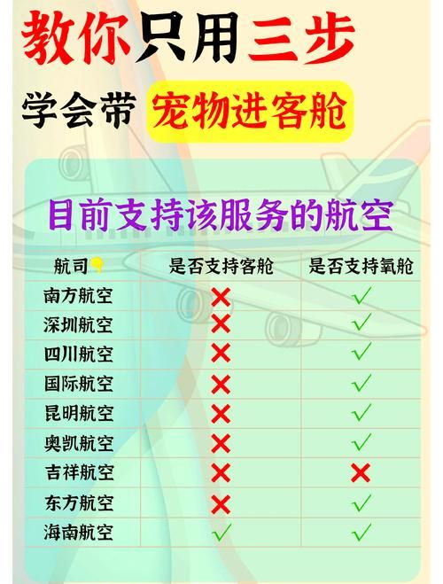 客舱巡游更新地址注意事项 这些细节别忽略