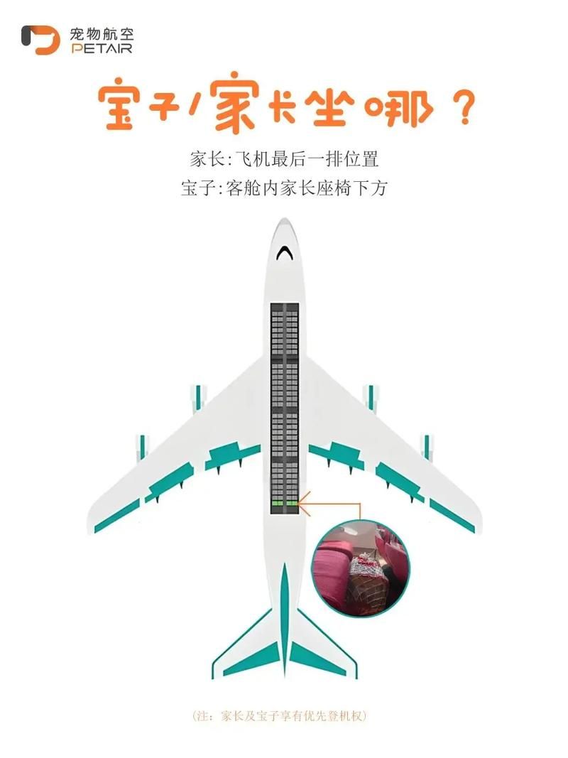 客舱巡游最新版本是多少 教你如何快速升级