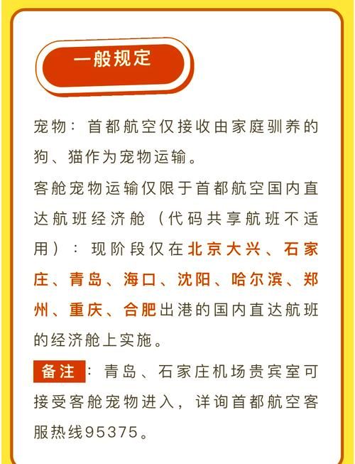 客舱巡游汉化版最新更新内容盘点，玩家必看指南