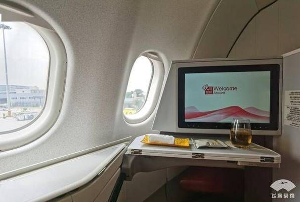 客舱巡游游戏攻略详解 轻松解锁隐藏玩法指南