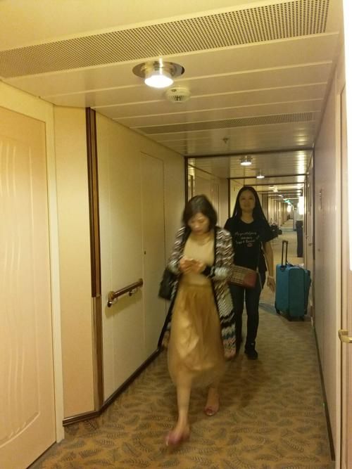 客舱巡游游戏攻略详解 轻松解锁隐藏玩法指南