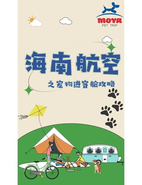 客舱巡游游戏攻略详解 轻松解锁隐藏玩法指南