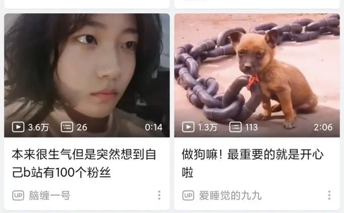 室友1.3汉化版最新更新内容汇总 玩家必看指南
